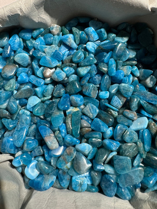 Blue Apatite chips